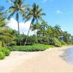 ハレ　ポオラ15